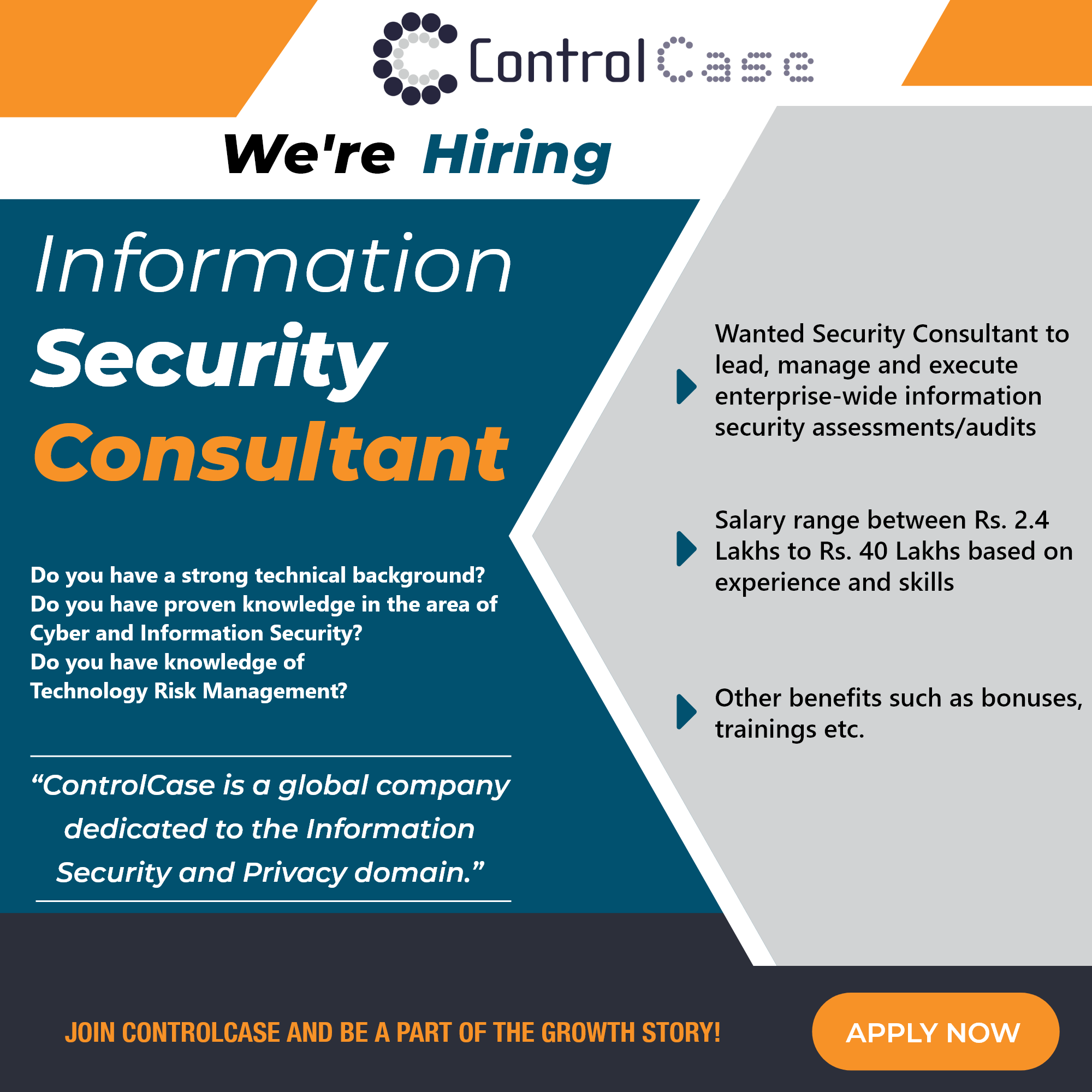 Security Consultant India Job Description